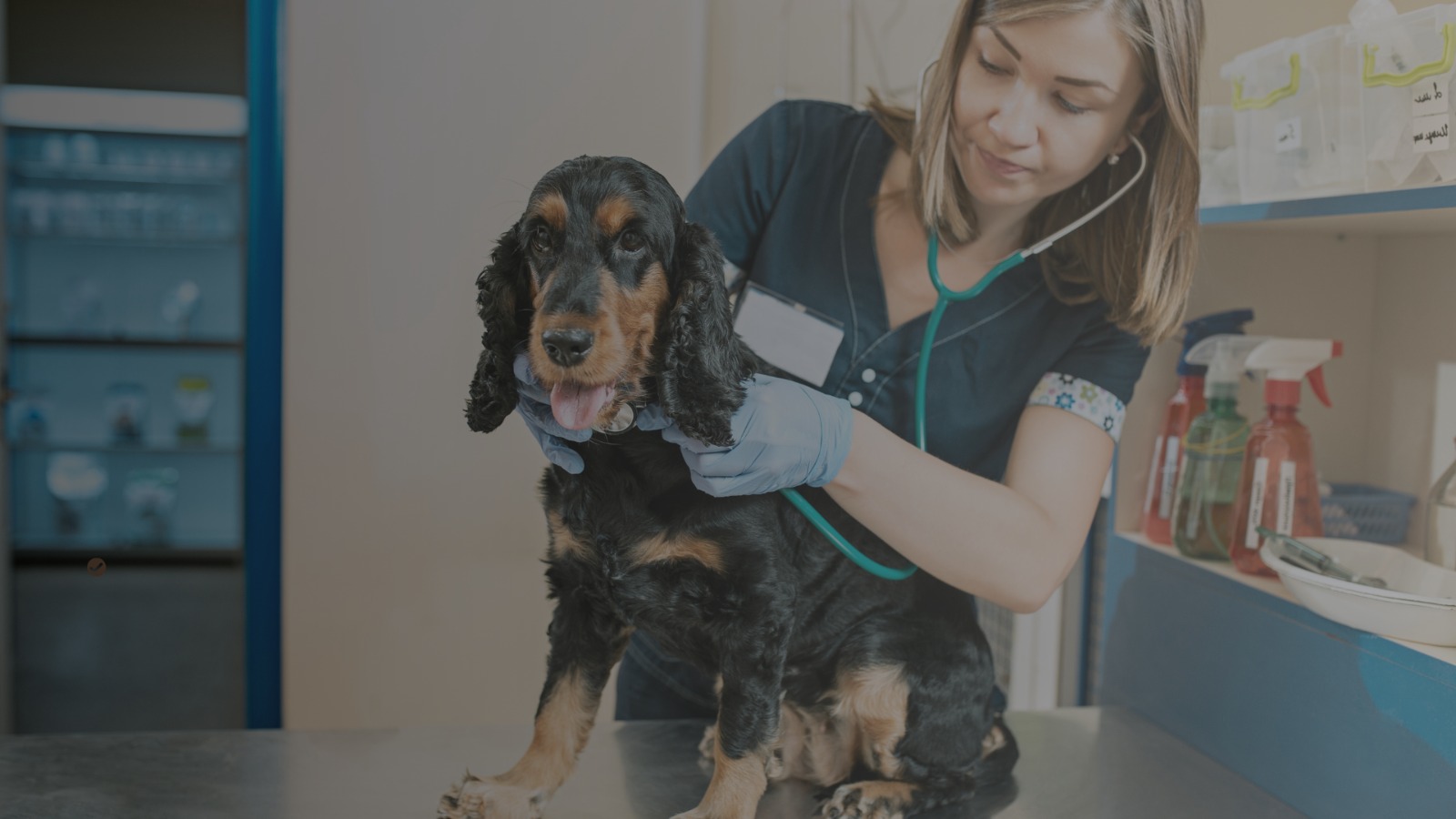 Pharmacist assisting customer at modern pharmacy counter